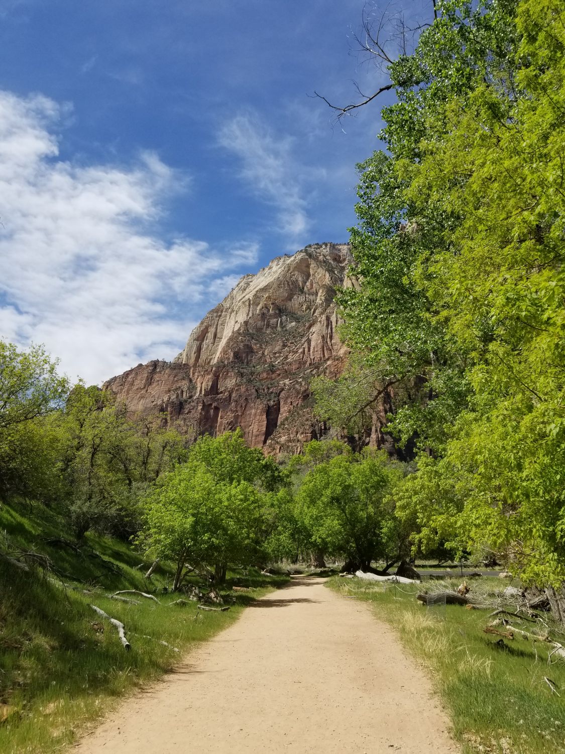 The Grotto Trail 